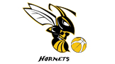 Bucks Hornets